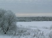 Прогноз погоды в Украине на 15 декабря: пасмурно, ожидается снег