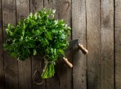 Кріп має магічні властивості