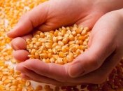 Ученые доказали, что ГМО опасны