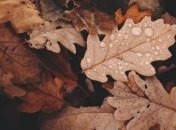 20 сентября - праздник, что категорически запрещено делать, главные приметы