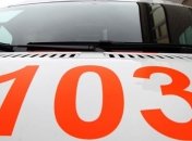 Ребенок въехал на санях под автомобиль 