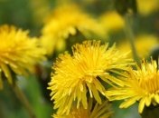 Прогноз погоды на 6 мая в Украине: немного посвежеет