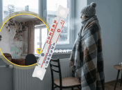 Холод та пліснява