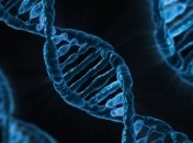 CRISPR против ВИЧ: впервые в истории пациенту пересадили отредактированные клетки