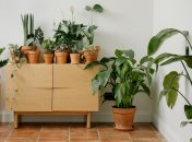 Тенденції дизайну 2025