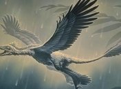 Ученые установили, что у динозавров тоже была перхоть