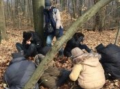 ГПСУ задержали 9 нелегальных мигрантов, которые направлялись в ЕС