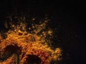 Одно средство заменит несколько химических препаратов