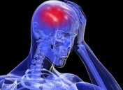 Стволовые клетки будут использовать для восстановления мозга после инсульта