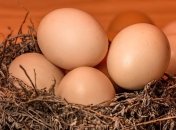 Стало известно, сколько яиц можно есть в день