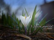 Разобрались, кого поздравляем с Днем ангела 21 апреля