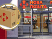 Коробки могут привлечь кошек