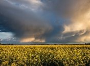 Идет похолодание и дожди: прогноз погоды на неделю 