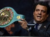 В WBC рассмотрят варианты создания новой весовой категории