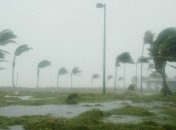 Возросшее число ураганов связали с повышением температуры океана