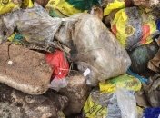 В Ровенской области неизвестные выбросили тысячу буханок хлеба