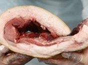 России не понравилось сало из Украины