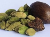 Користь і шкода кардамону для організму