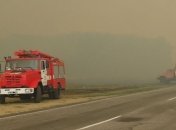 Клюев: Убытки от лесных пожаров на Херсонщине составили 15 млн грн