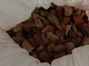 В Ровно изъяли около 55 кг янтаря-сырца