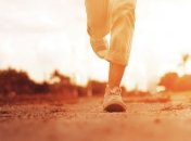 Что сохранит молодость мозга?