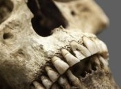 Ученые нашли смертоносный вирус в останках человека возрастом 4,5 тысячи лет