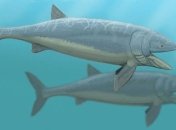 Ученые определили скорость плавания самых больших костных рыб в истории 