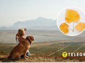 Залишилися лічені дні літа