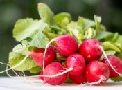 Отлично подойдет от вирусов: необычайная польза редиса