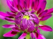 Приметы и обряды на 30 июля -День Марины и Лазаря