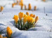 Прогноз погоды на неделю