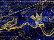 Бизнес-гороскоп на неделю: все знаки зодиака (26.11 - 2.12. 2018)