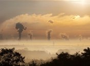 Две экологические проблемы одним махом: ученым удалось их решить благодаря одной разработке