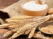 Минагрополитики планирует экспортировать 40 млн. т зерна