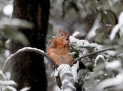 В Украину на выходных придут морозы