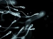 Великобританія хоче розпочати донарство сперми чоловіка після його смерті