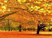 Останнє тепло: синоптики дали прогноз погоди на найближчі дні