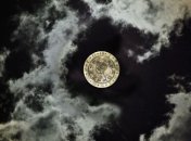 Знаменательные события в истории: 14 июля 2016 года