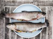 Рыба на тарелке