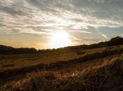  За использование земель выплатили на Полтавщине 709 800 000 грн