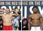 Усик - Джошуа 2