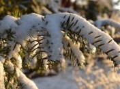 Какой завтра праздник: обычаи и традиции на 6 декабря