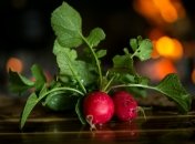 Посадить и вырастить редис может даже новичок