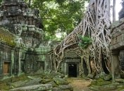 В Камбодже среди джунглей обнаружили новые города империи кхмеров 