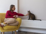 Вдома буде набагато тепліше за допомогою 1 дешевої речі