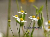 Разобрались, кого поздравляем с Днем ангела 23 июля