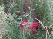 У Чернівцях жінка викинула маленького сина в валізі на пустир: суд обрав покарання