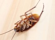 Открытые источники