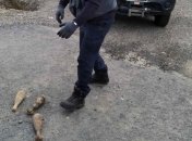 На Закарпатье пиротехники уничтожили мины времен Второй мировой