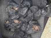 Почти пять килограммов янтаря пытались незаконно вывезти в Польшу